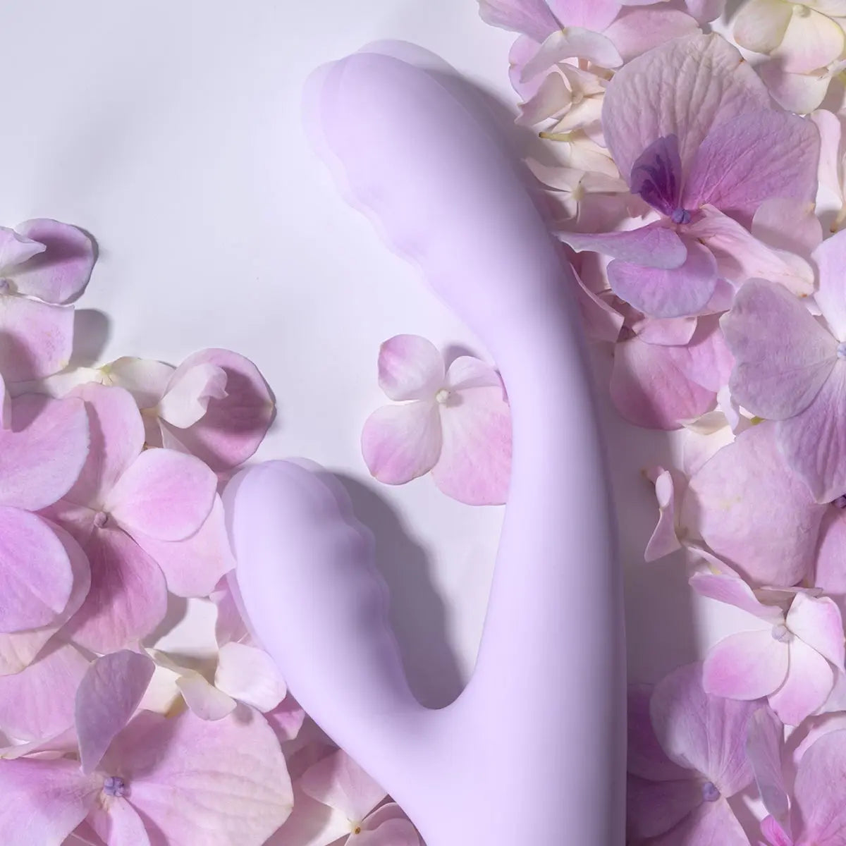 Cici 2+ - Lavender
