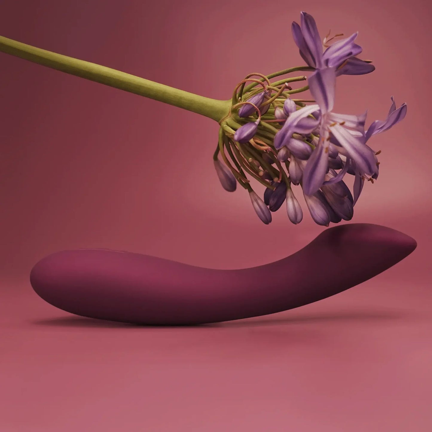 Amy 2 - Purple