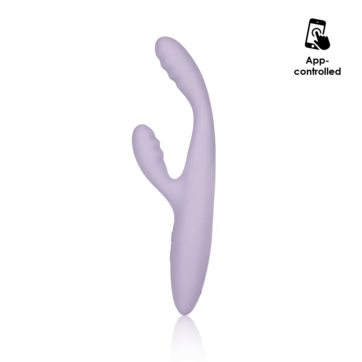 Cici+ 2